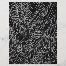 Web Tarjetones