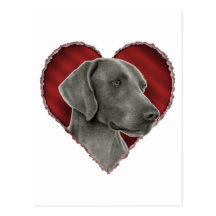 Weimaraner con el corazón postal