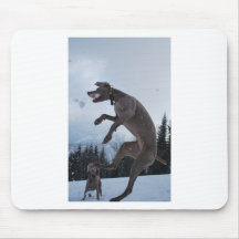 Weimaraner de salto tapete de ratones