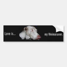Weimaraner - el fantasma gris etiqueta de parachoque