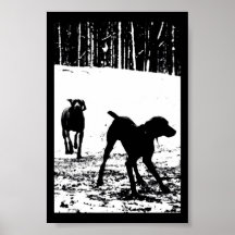 Weimaraner en el juego poster