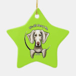 Weimaraner IAAM Ornatos