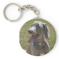 Weimaraner Llaveros