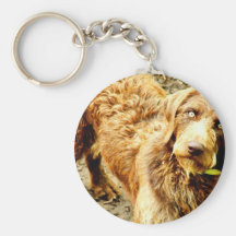 Weimardoodle Llaveros Personalizados