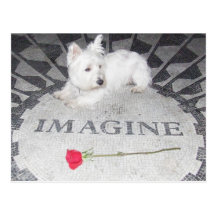 Westie se imagina paz de mundo postales