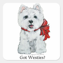¿Westies conseguido? Pegatinas Cuadradas Personalizadas