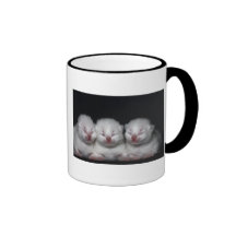 White Cats Teehaferl