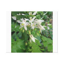 white flowers canvas afdruk