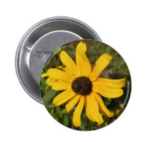 wildflower amarillo pins