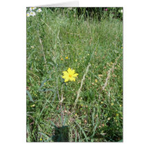 wildflower amarillo tarjeton