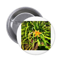 Wildflower bonito de Maine Pins