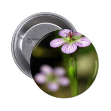 wildflower de la montaña pin