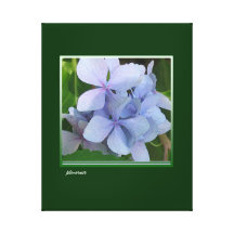 Wildflower en violeta pálida impresión de lienzo