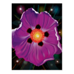 wildflower postales