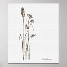 Wildflower Poster