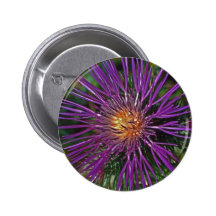 Wildflower púrpura del Cretan Pins