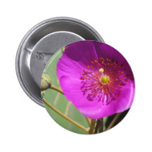 Wildflower rosado pins