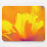 Wildflower soleado tapete de ratones