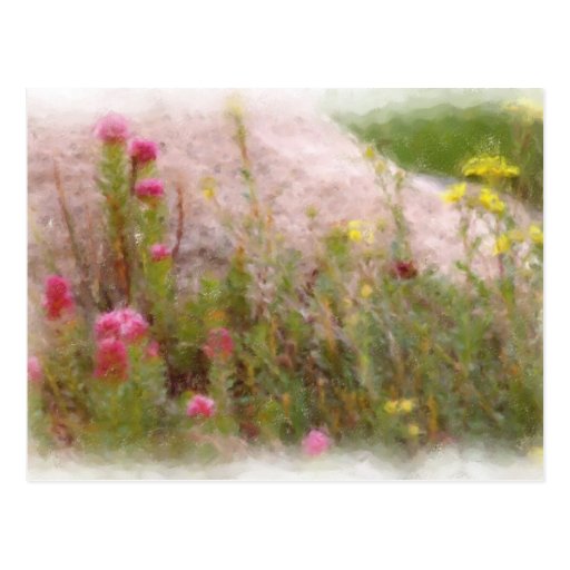 WILDFLOWERS 1 POSTAL