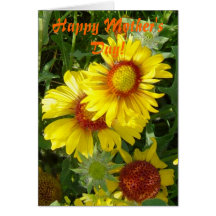 Wildflowers amarillos F0006 Felicitaciones
