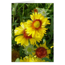 Wildflowers amarillos F0006 Tarjetas