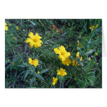 wildflowers amarillos felicitacion 