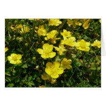Wildflowers amarillos tarjeton