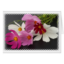 Wildflowers con el borde felicitaciones