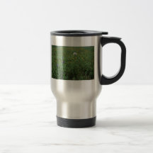 Wildflowers de Dakota del Sur Taza
