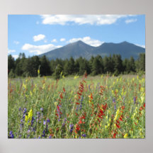 Wildflowers de la asta de bandera posters