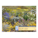Wildflowers de la postal de Australia occidental tarjetas postales