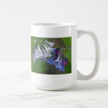 Wildflowers de los Bluebells de Virginia Tazas