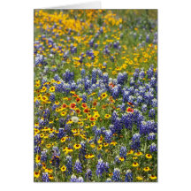Wildflowers de Tejas de Cynthia Wenslow Tarjeta