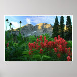 Wildflowers del castillo del diablo impresiones