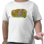 Wildflowers del humo del Lupine y de pradera en Mo Camiseta