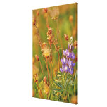 Wildflowers del humo del Lupine y de pradera en Mo Impresion En Lona