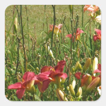 Wildflowers en el viento pegatinas cuadradas personalizadas