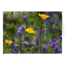 Wildflowers Felicitación