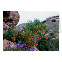 Wildflowers Felicitación