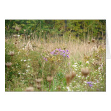 wildflowers felicitaciones