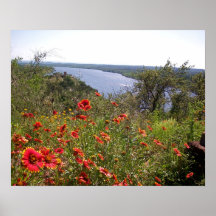 Wildflowers indios de la manta TX Impresiones