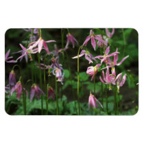 Wildflowers - lirios de cervatillo imanes
