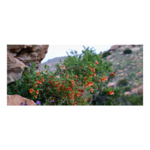 Wildflowers Lonas Personalizadas