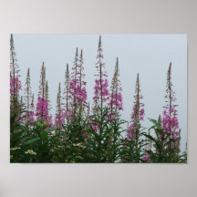 Wildflowers Impresiones