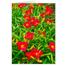 wildflowers rojos felicitación