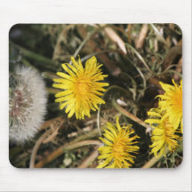 wildflowers tapetes de ratones