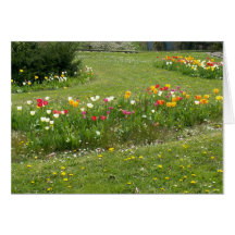 wildflowers tarjeta