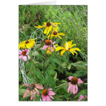 Wildflowers Tarjetas