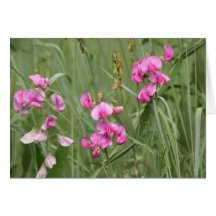 Wildflowers Tarjeton