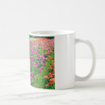 wildflowers tazas